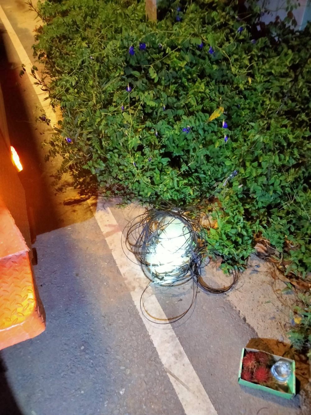250939-(1).jpg