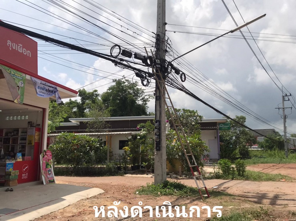 005.jpg