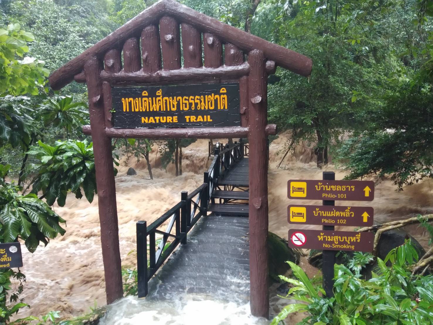 S__67469323-(1).jpg