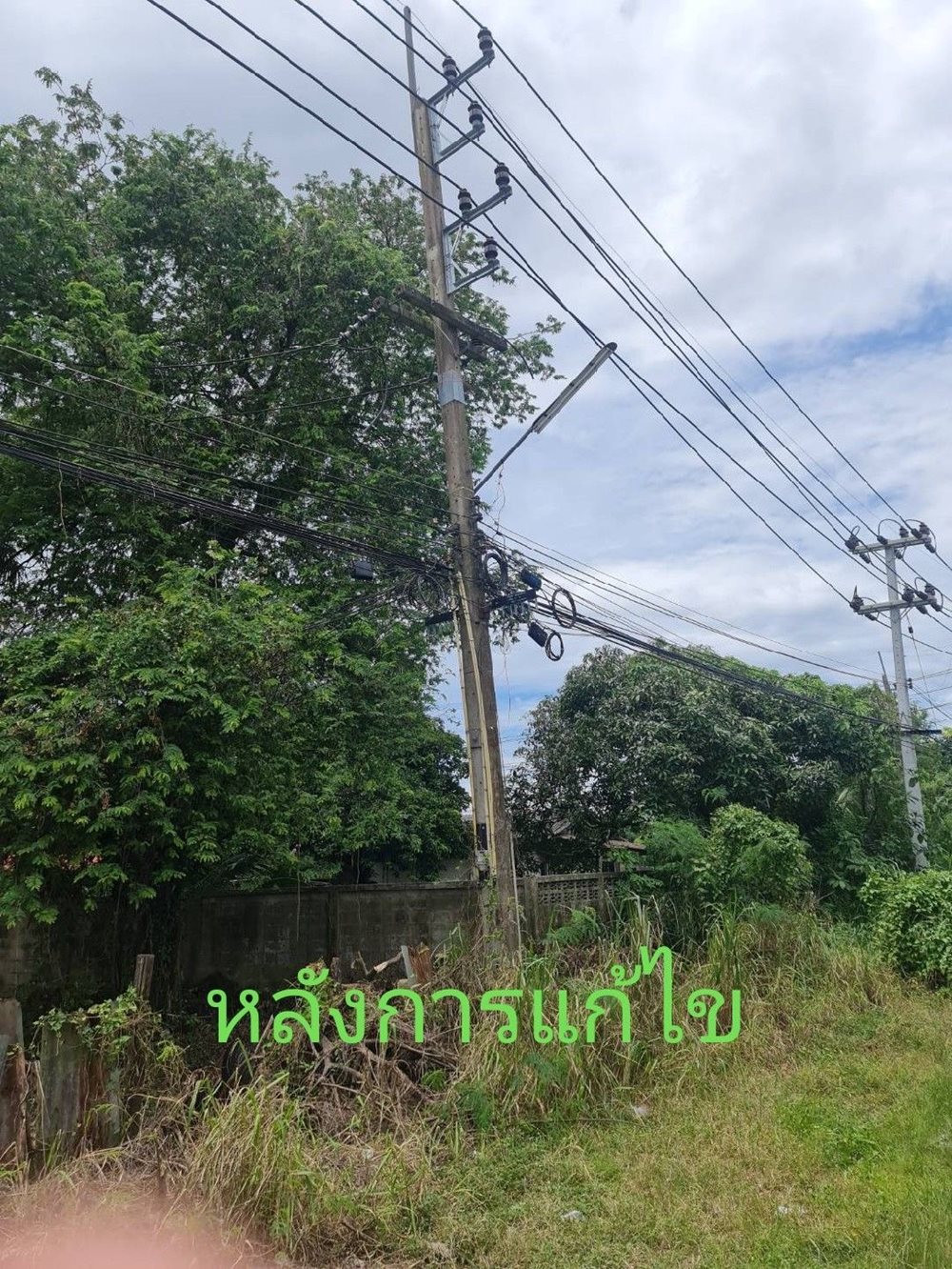 004.jpg