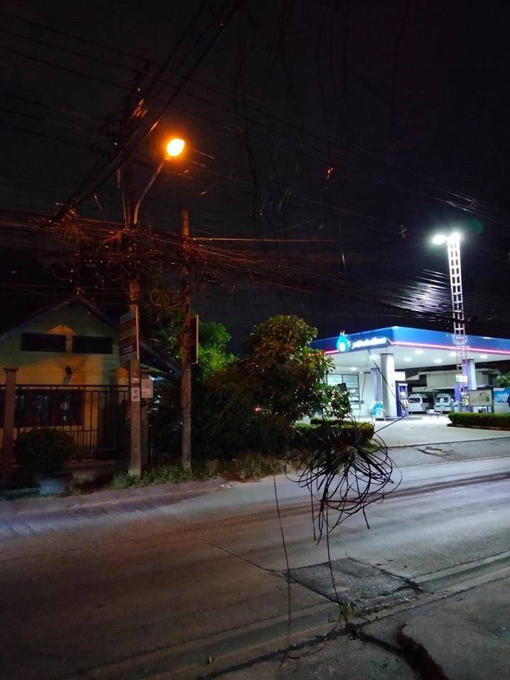 312491.jpg