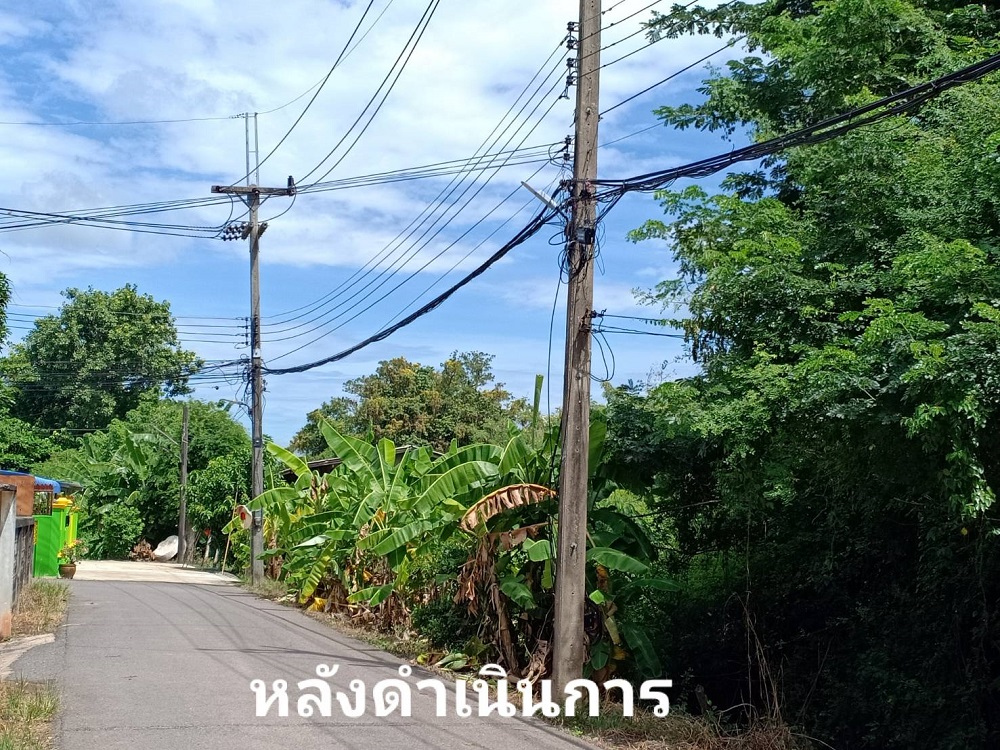 006.jpg