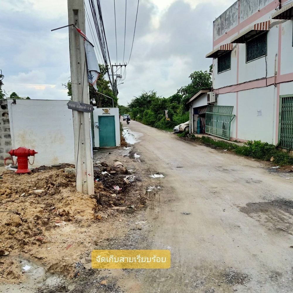 006.jpg