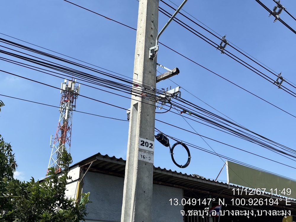 003.jpg