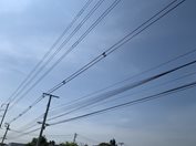 004.jpg