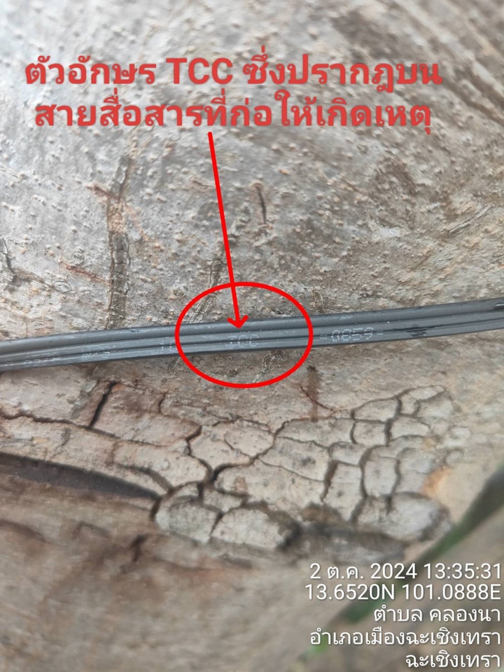 003.jpg 003.jpg