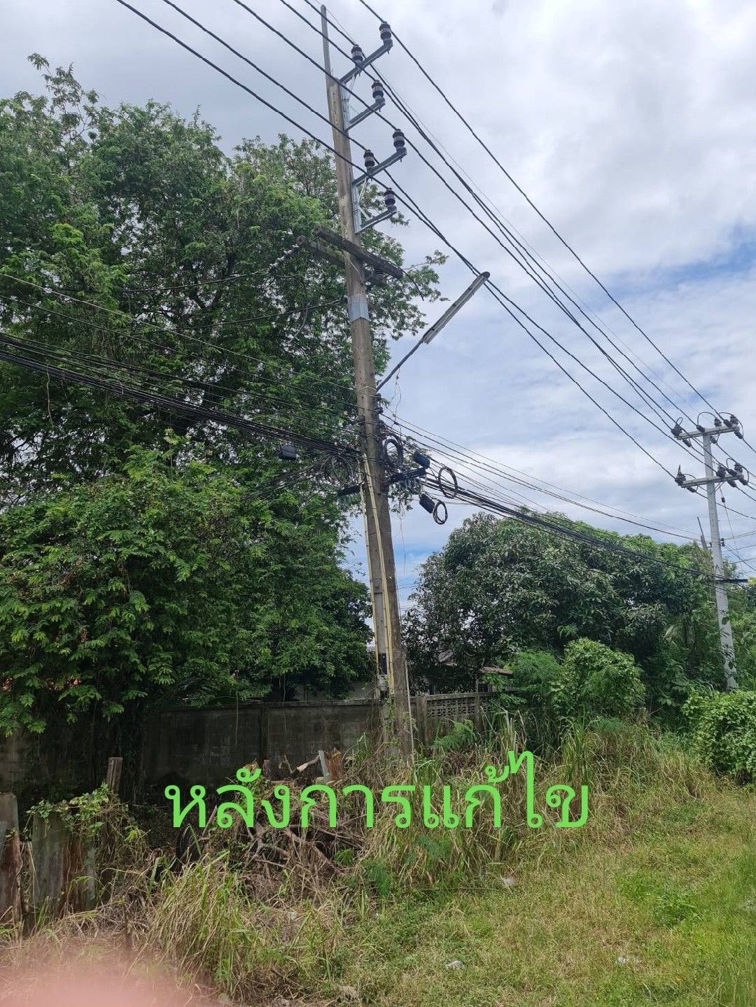 004.jpg